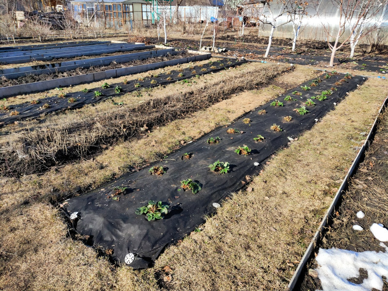 P10410-154117.jpg
