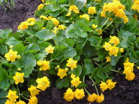 DSCN5274.JPG