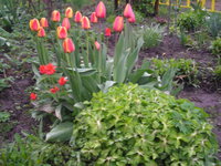 DSCN5227.JPG