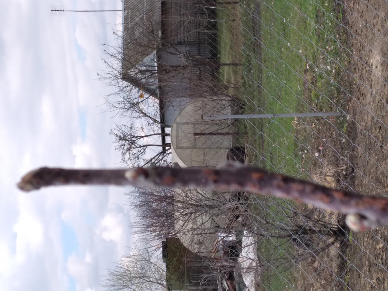 20210418_140333.jpg