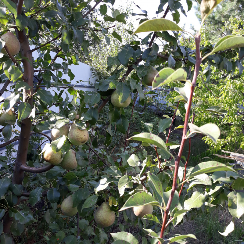 20200815_171136 Мраморная.jpg