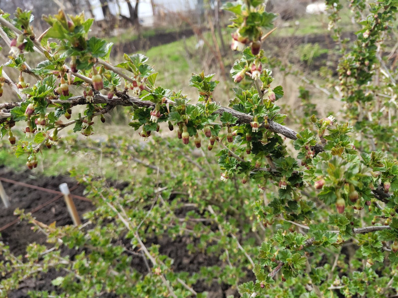 P10501-141206.jpg