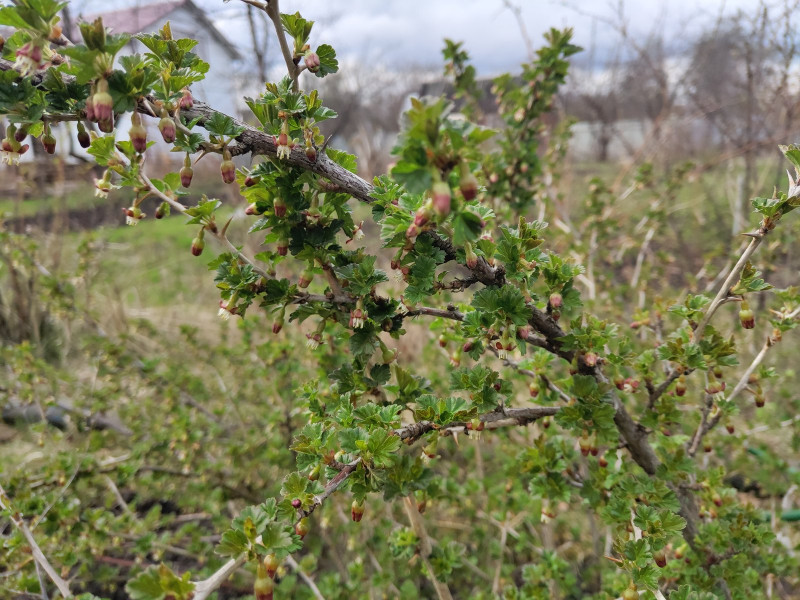 P10501-141218.jpg