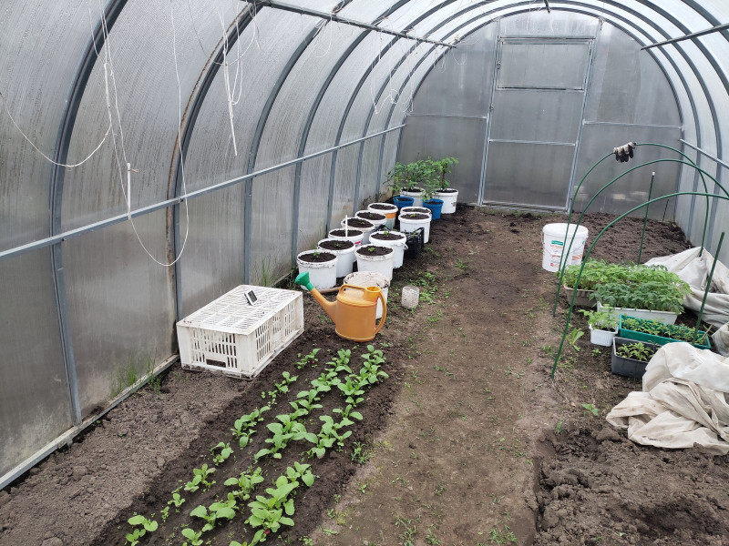 P10502-174643.jpg
