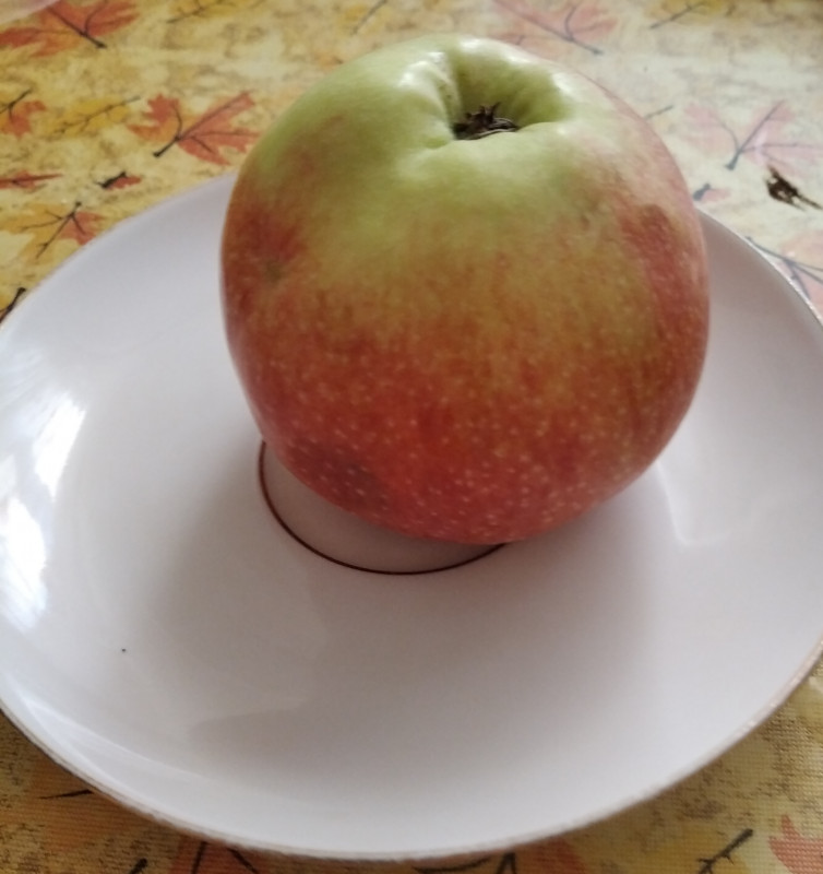 IMG_20210504_195545.jpg