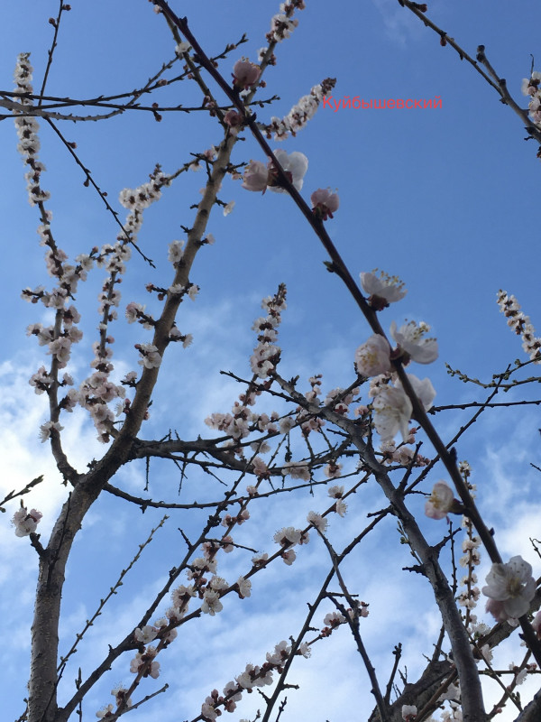 5BE46252-C89C-40AF-B076-48EE3171ED42.jpeg