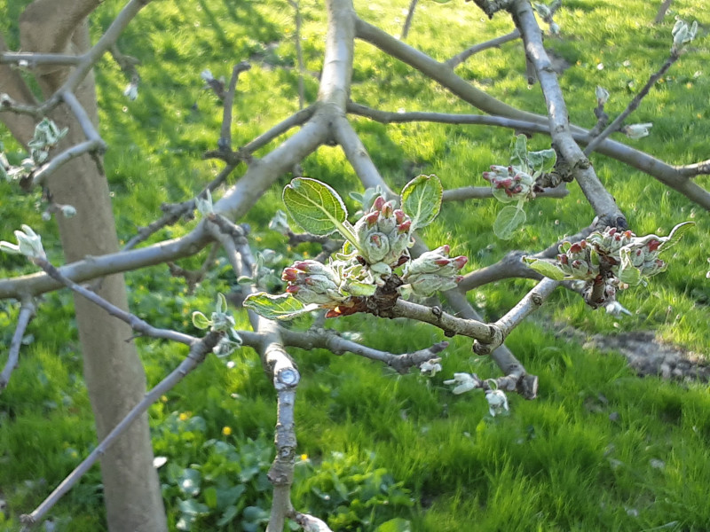 20210511_175351.jpg