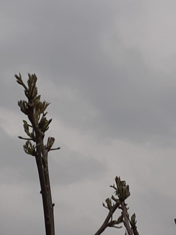 20210512_113440.jpg