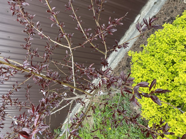 B2661232-F922-4C79-839B-B6327003554D.jpeg