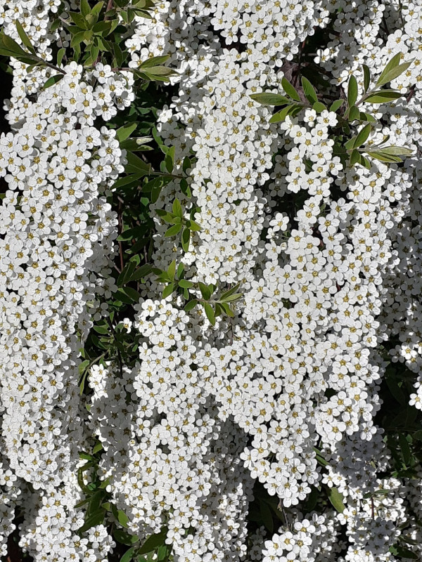 20210516_105400.jpg