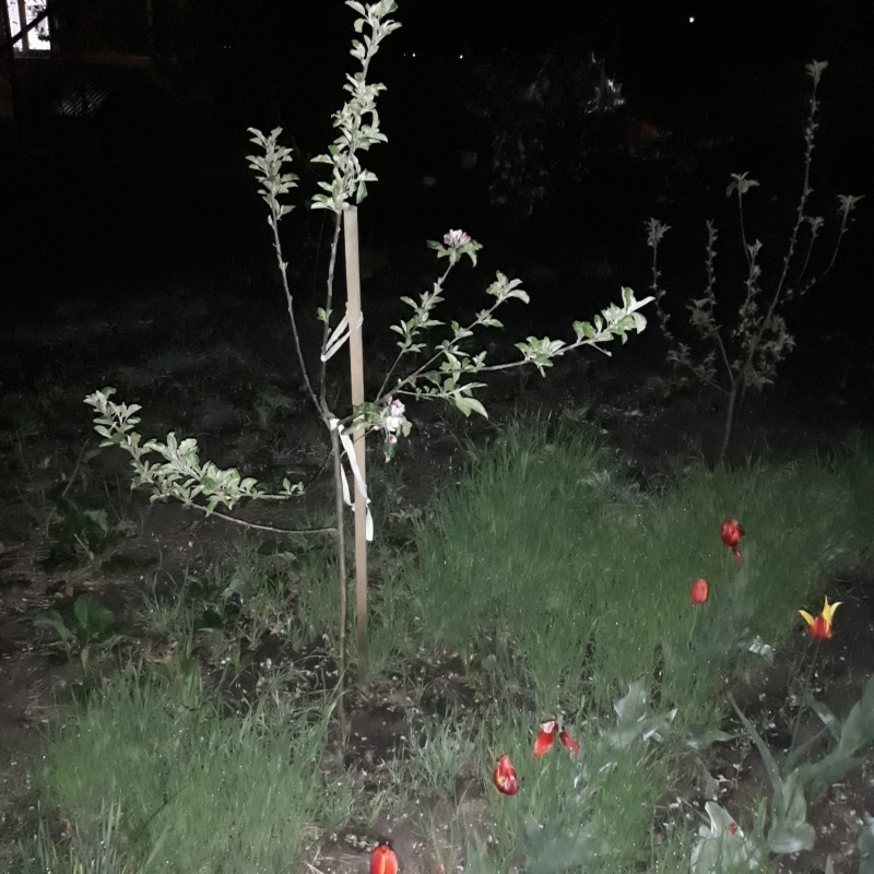 20210515_010636.jpg
