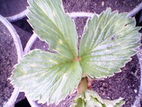 IMG_20140515_100013.jpg
