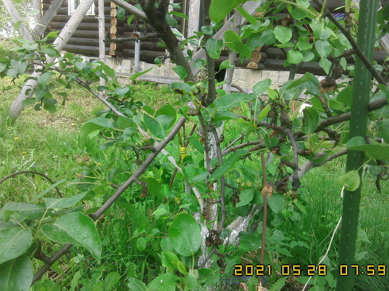 IMG10235.jpg