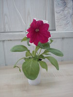 DSC01858.JPG