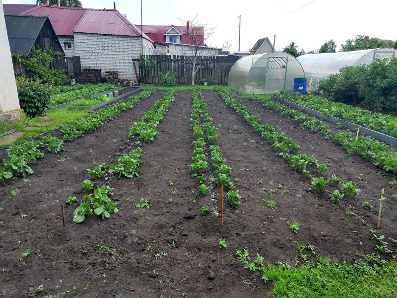 P10529-171933.jpg
