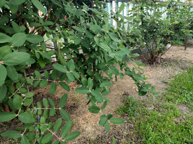 P10529-145123.jpg