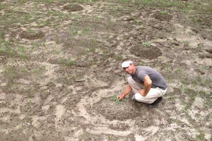 Mounds_01_sm.jpg