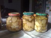 25082012140.jpg