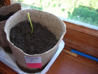 DSCN7281.JPG