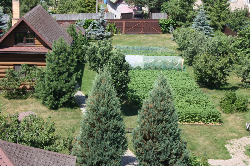 Огород, вид сверху