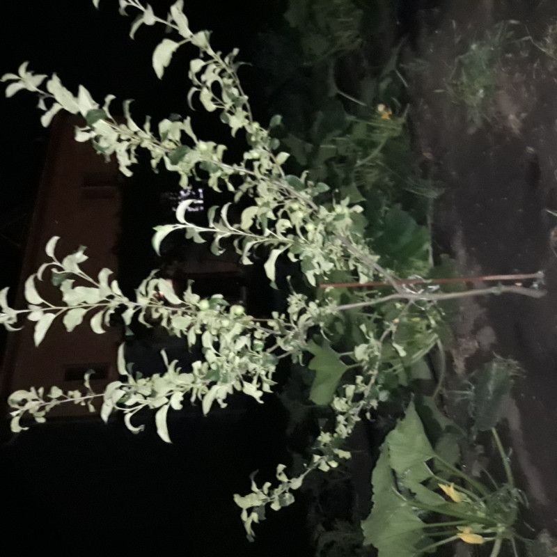 20210627_013353.jpg