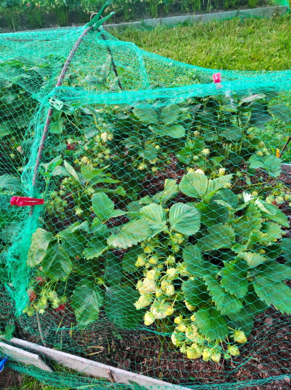 IMG-20210627-WA0003.jpg
