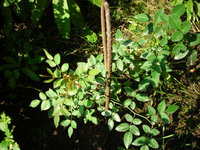 DSCN6812.JPG