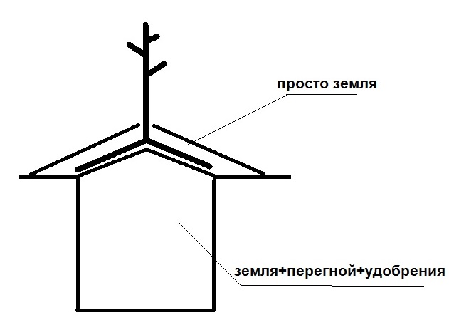 эскиз.jpg