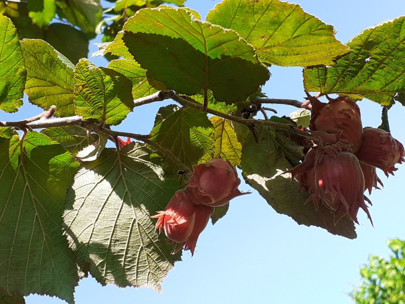 20210707_103533.jpg