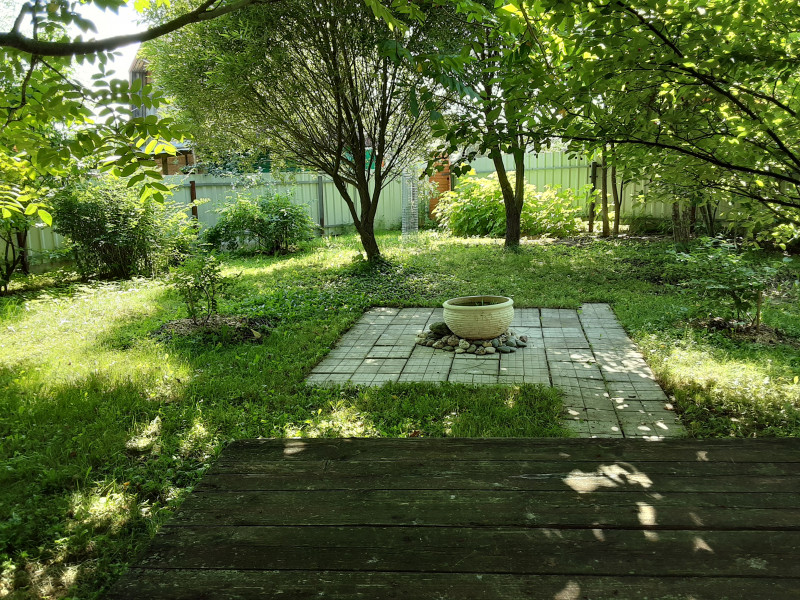 20210710_114955.jpg