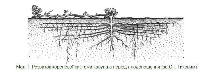 247453945-art46_1.jpg