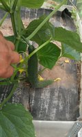 IMAG0307.jpg