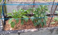 IMAG0314.jpg