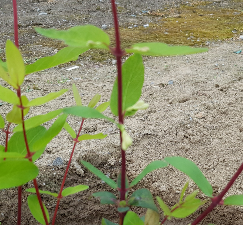 20210717_114136.jpg