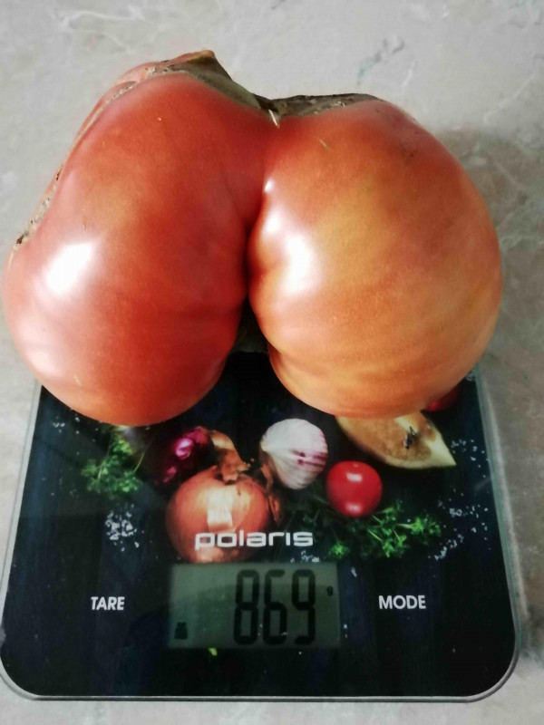 А жто Салобре