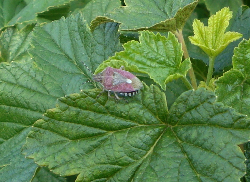 DSC01042.jpg