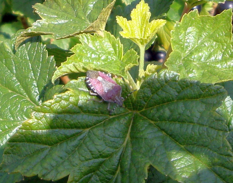 DSC01036.jpg