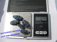 БАКЧАРСКИЙ ВЕЛИКАН.jpg