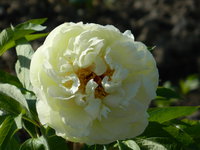 DSCN7339.JPG