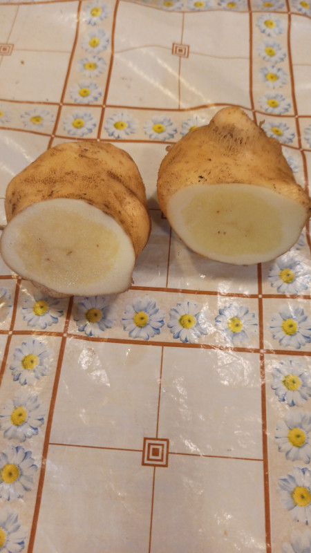 IMG-20210802-WA0036.jpeg