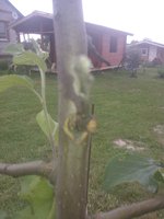 WP_000817.jpg