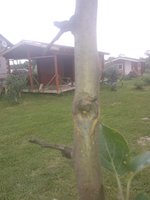 WP_000818.jpg