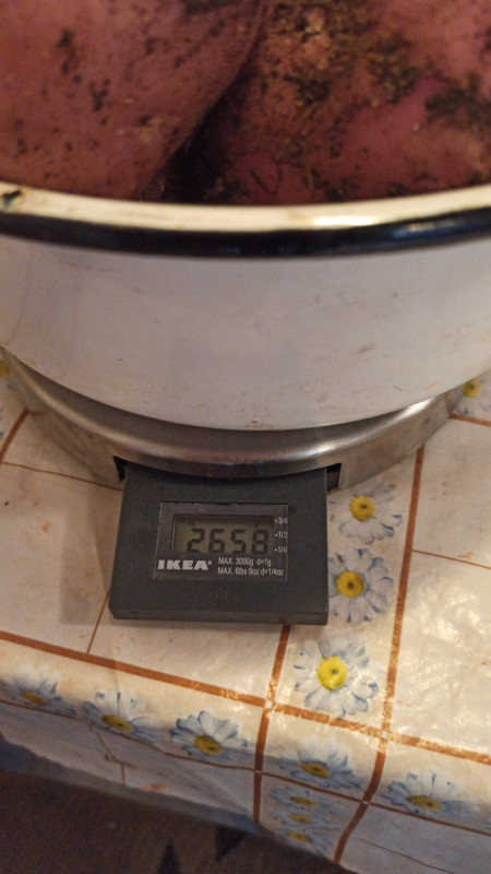 IMG-20210806-WA0018.jpeg