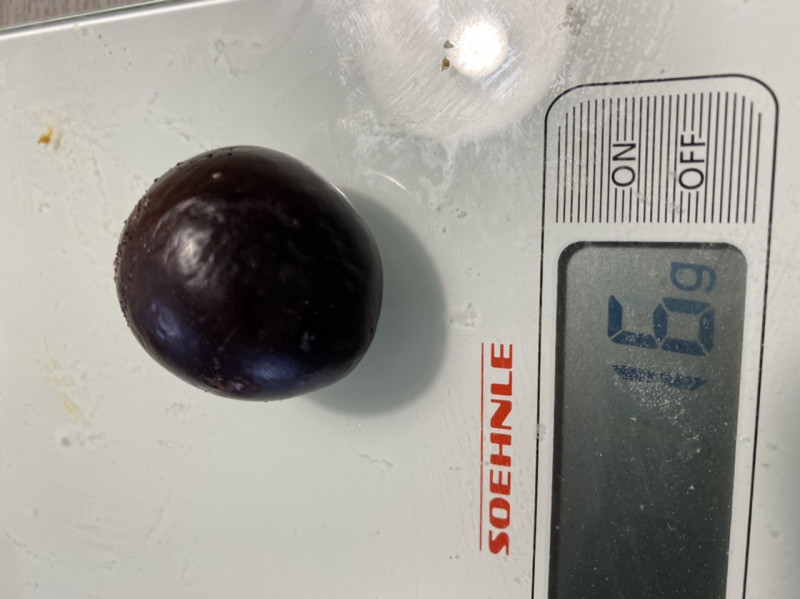 BA1C67AC-B36C-475E-AE4C-5A954275E656.jpeg