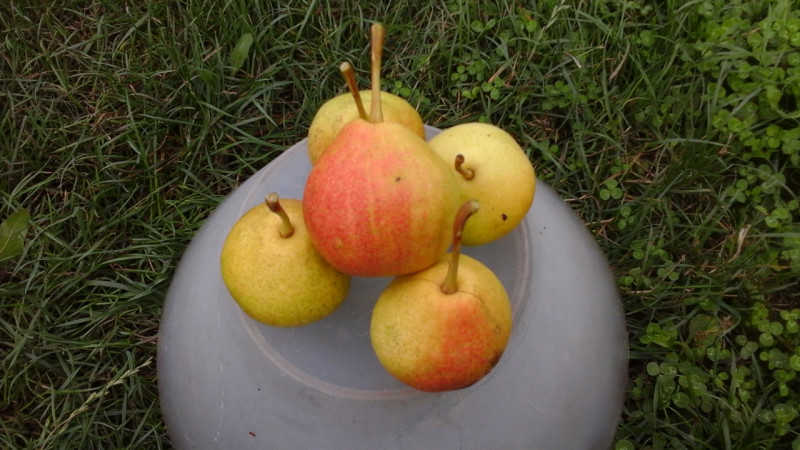 20210807_175741.jpg