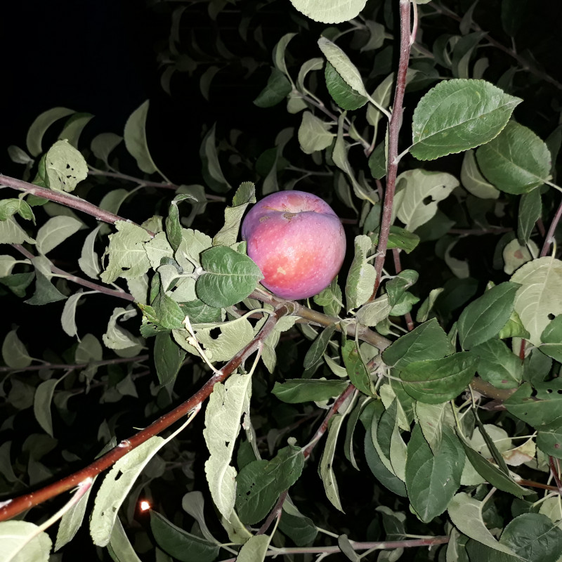 20210814_205752.jpg