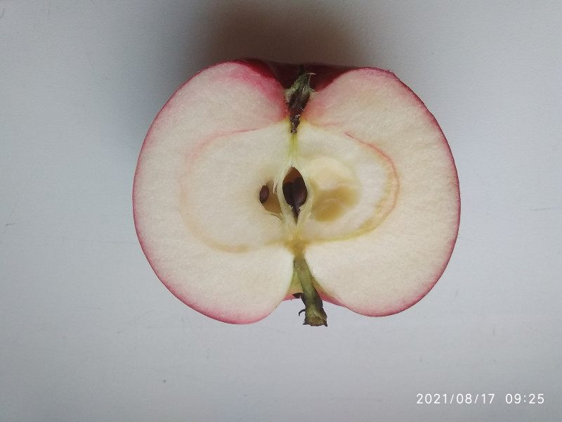 IMG_20210817_092507.jpg
