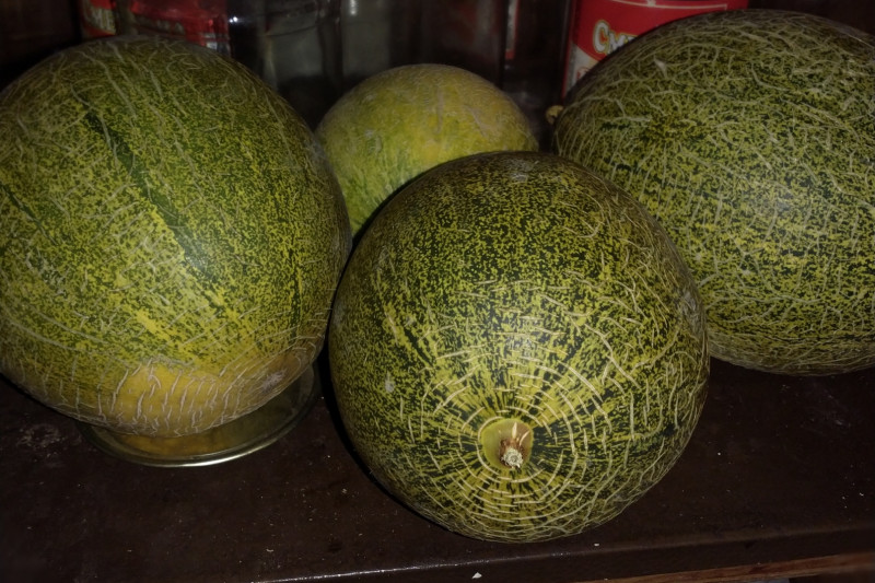 ДЫНИ._20210821_195536.jpg