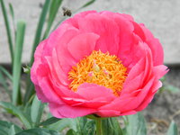 DSCN7352.JPG