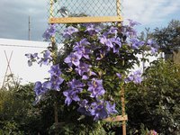IMG2223-01.jpg